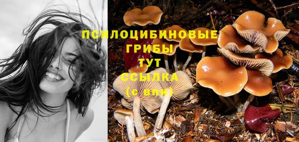 прущий лед Красноперекопск
