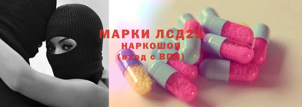 шишки Баксан