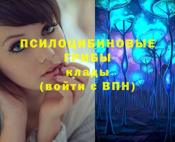винт Карпинск