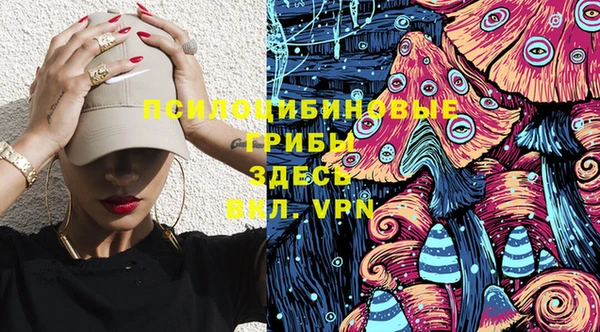 шишки Баксан