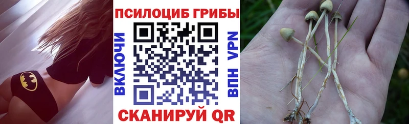 Псилоцибиновые грибы прущие грибы блэк спрут зеркало Бор